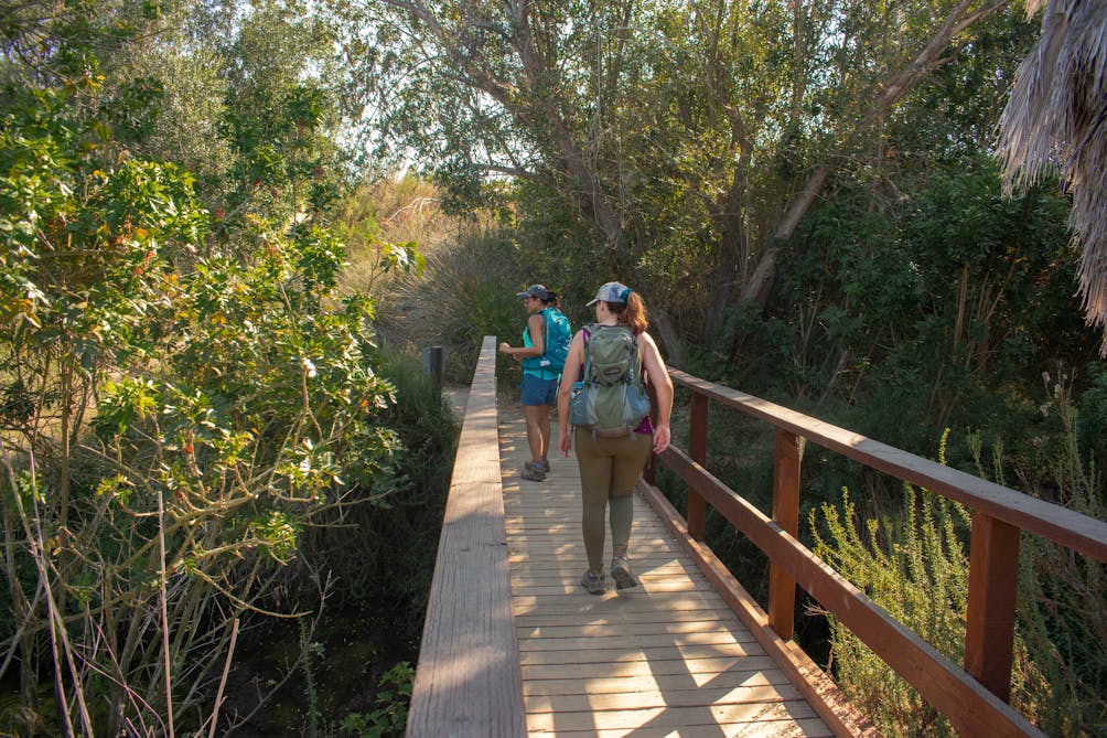 Two hikers walking along a boardwalk bridge at Upper Newport Bay Nature Preserve in Orange County 