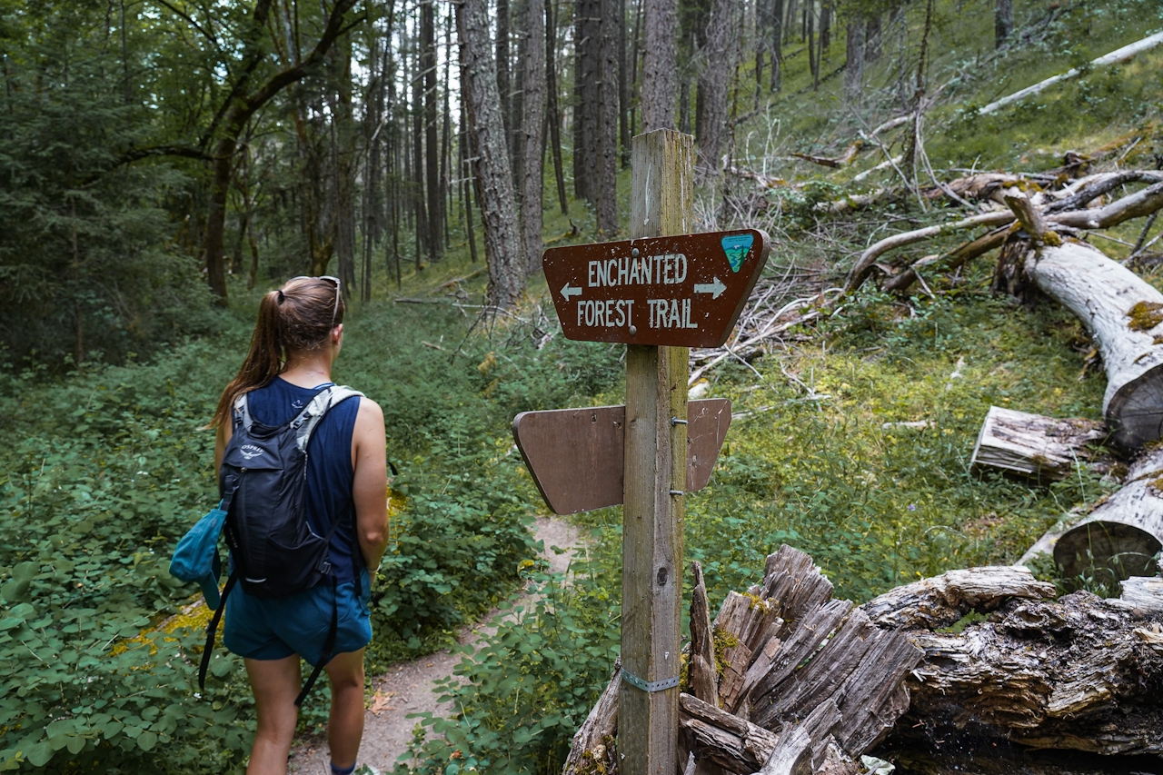 Enchanted Forest Trailhead in Grants Pass Southern Oregon 