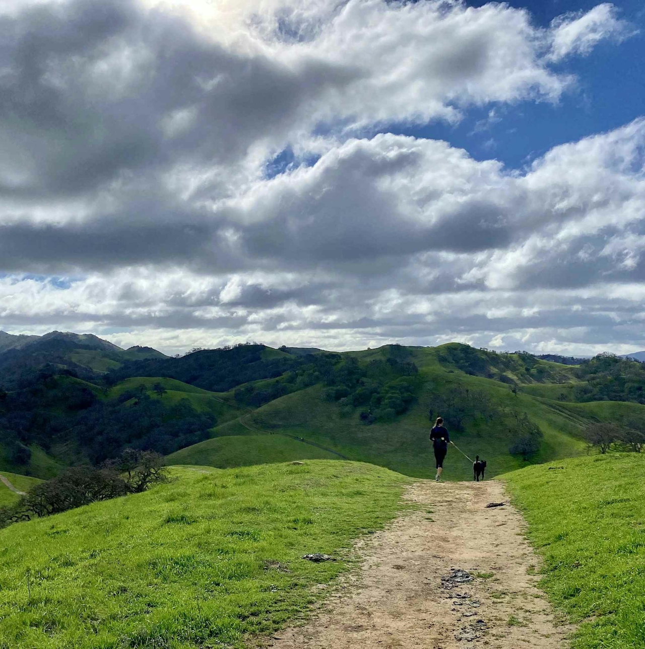 Hikers on a trail at Diablo Foothills Regional Park 