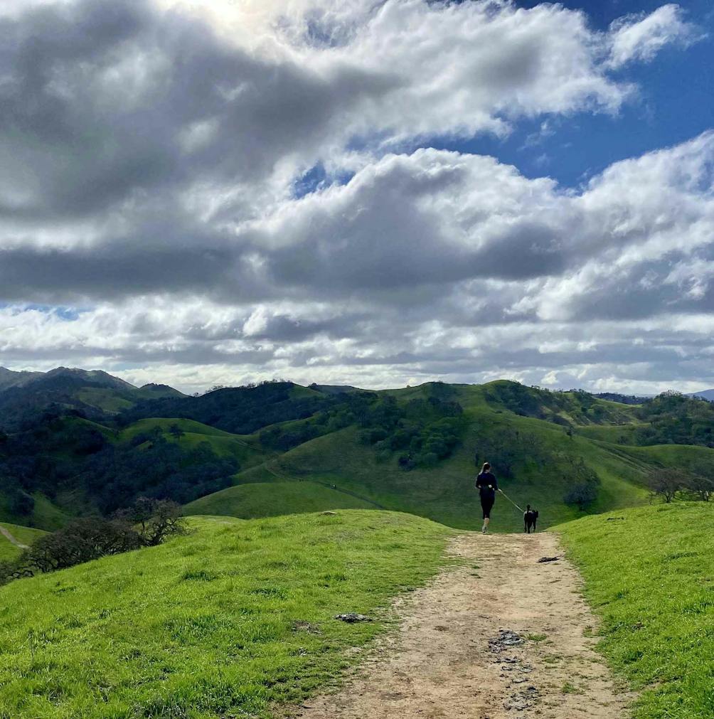 Hikers on a trail at Diablo Foothills Regional Park