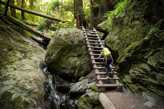 Woman hiker is climbing up the ladder in the Steep Ravine section of the Dipsea Loop Trail on Mount Tam