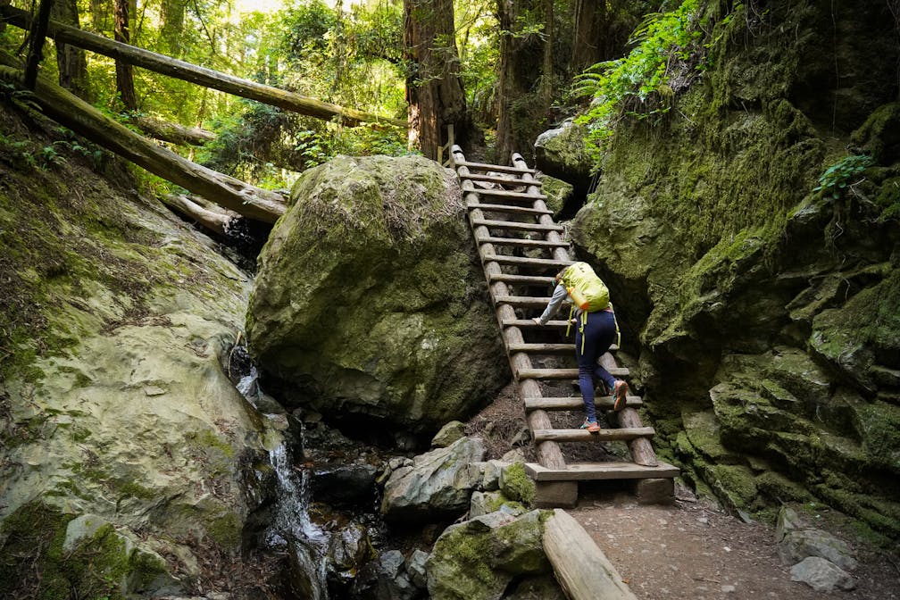 Woman hiker is climbing up the ladder in the Steep Ravine section of the Dipsea Loop Trail on Mount Tam