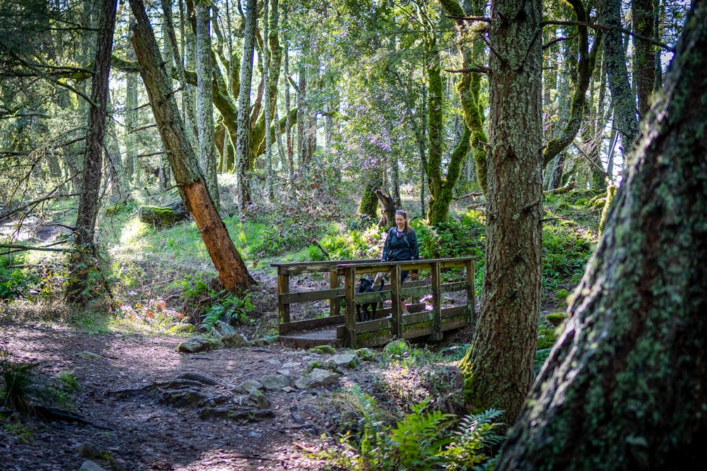 woman hiking to Cataract Falls on Mount Tam