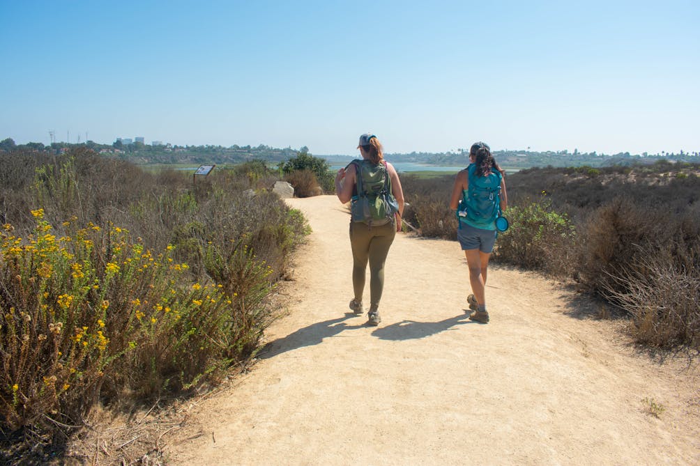 Two hikers walk along a wide trail surrounded by shrubs at Upper Newport Bay Nature Preserve in Orange County 