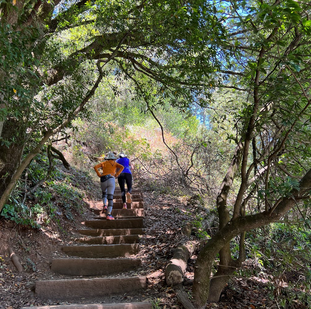 Two hikers go up the stairsteps on the Morning Sun Trail in Sausalito 