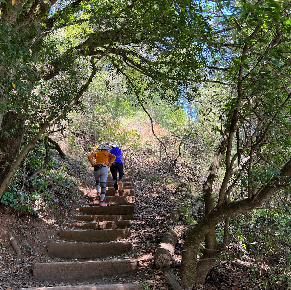Two hikers go up the stairsteps on the Morning Sun Trail in Sausalito
