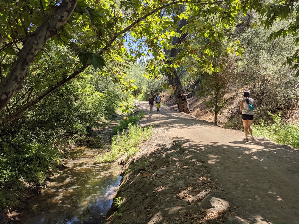 Woman walking under a canopy of trees next to a stream on a hiking trail in Whiting Ranch Wilderness Park in Orange County