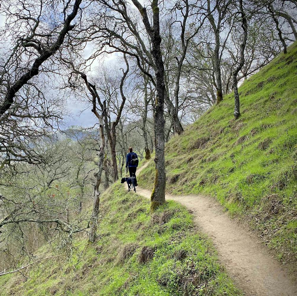 Hiker and dog at Diablo Foothills Regional Park in the East Bay 