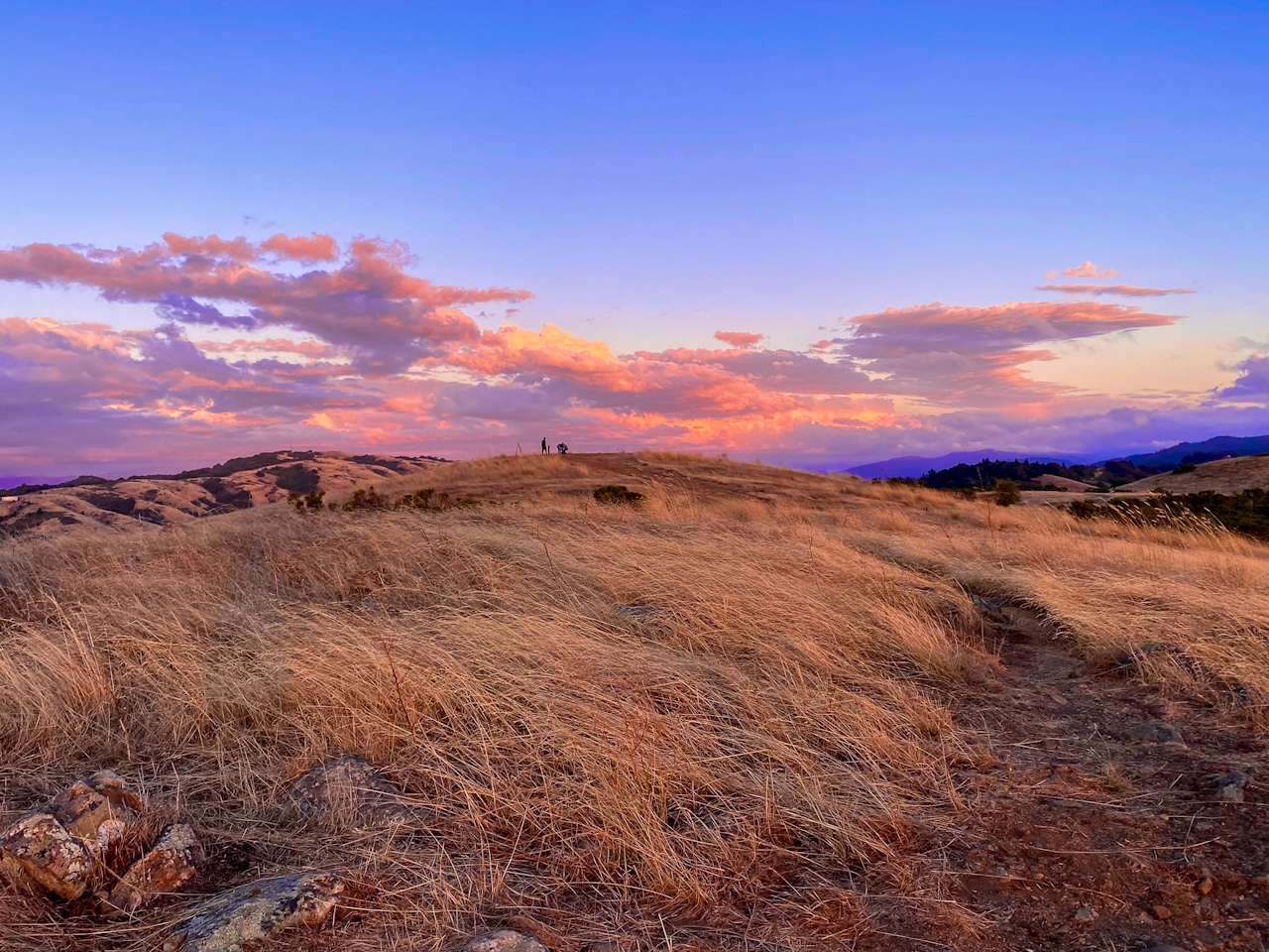 Russian Ridge Open Space Preserve near sunset on the Bay Area Ridge Trail 