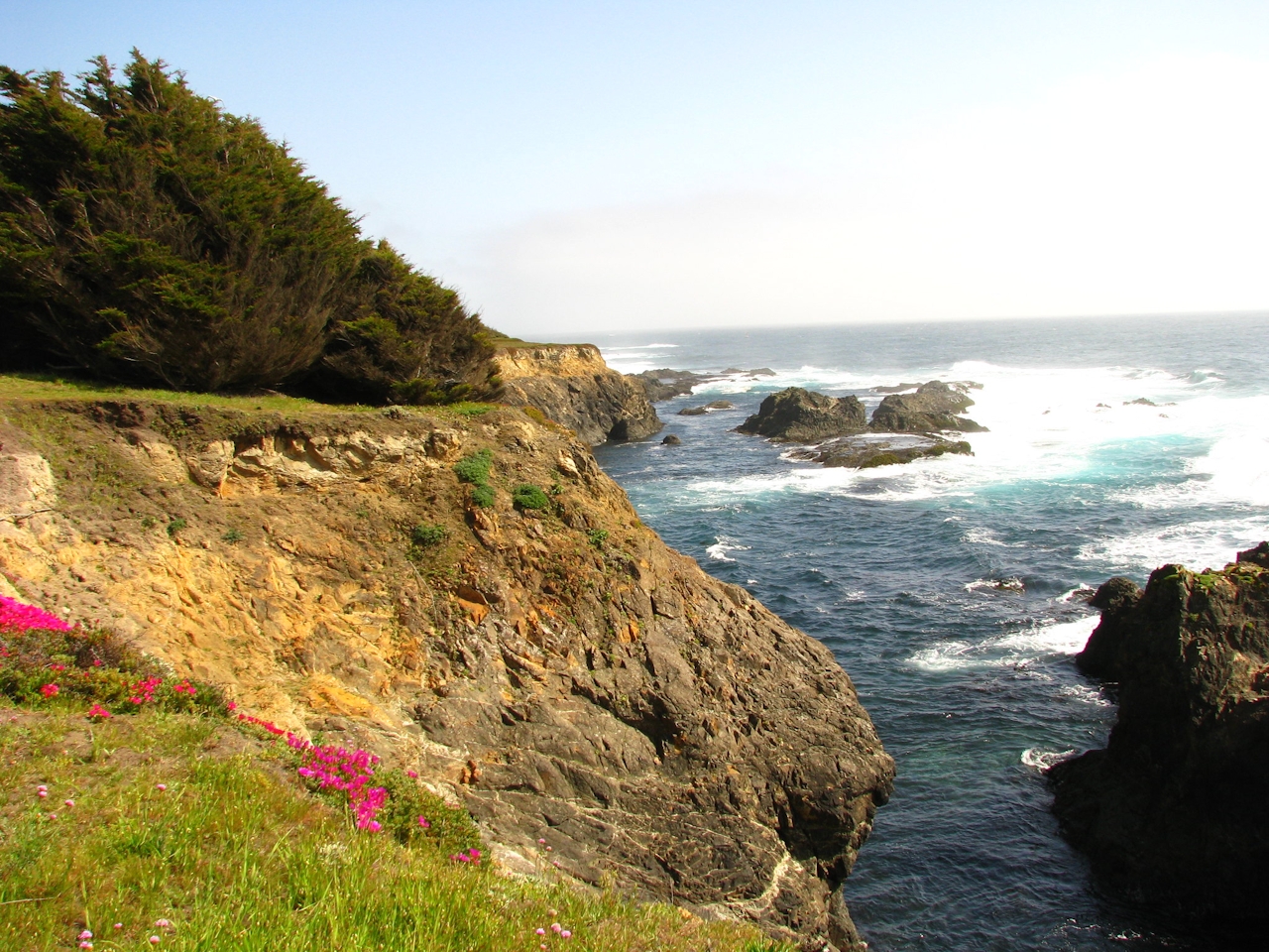 cliffs at van damme state park