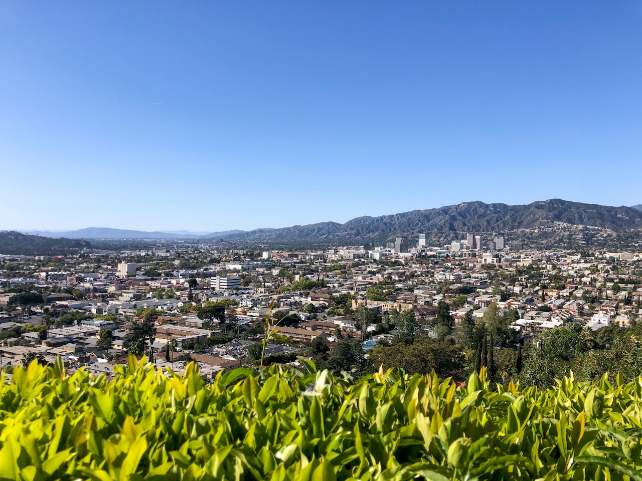 View of the Santa Gabriel Mountains from Forest Lawn in Glendale 