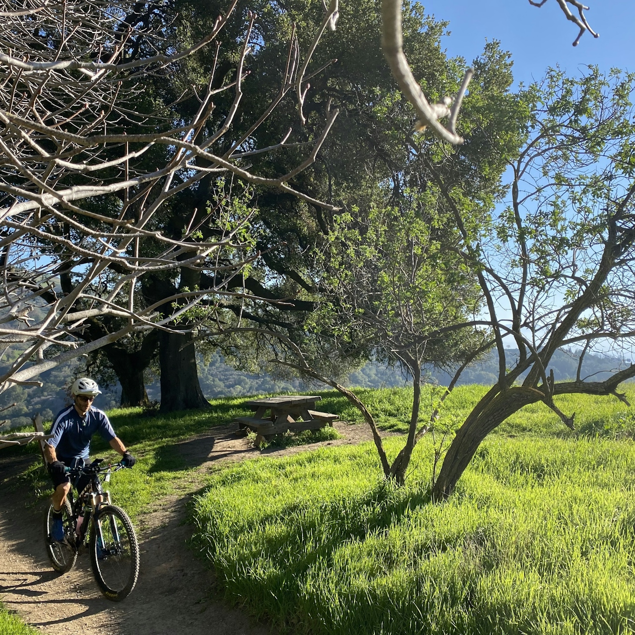 Mountain biker on trail passing by a picnic area at Alum Rock Park in San Jose