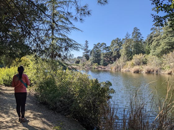 Hiker along a waterside trail in Franklin Canyon Park in Los Angeles
