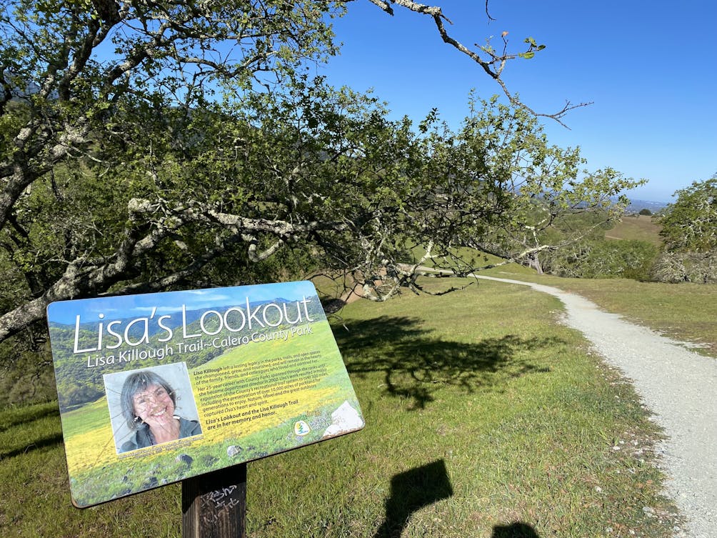 Sign for Lisa's Lookout at Calero County Park in the South Bay 