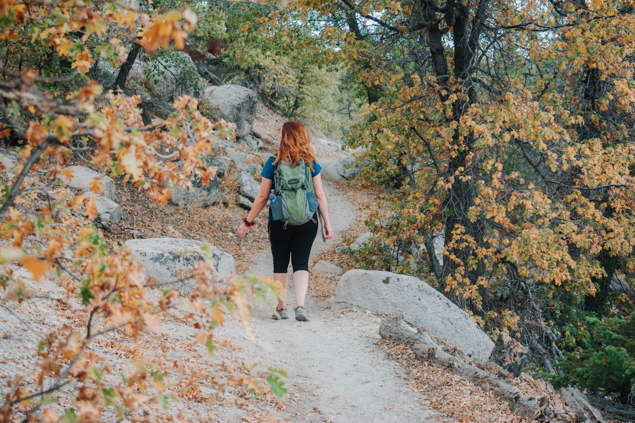 Hiker on Grays Peak Trail amid fall foliage in Big Bear Lakes 