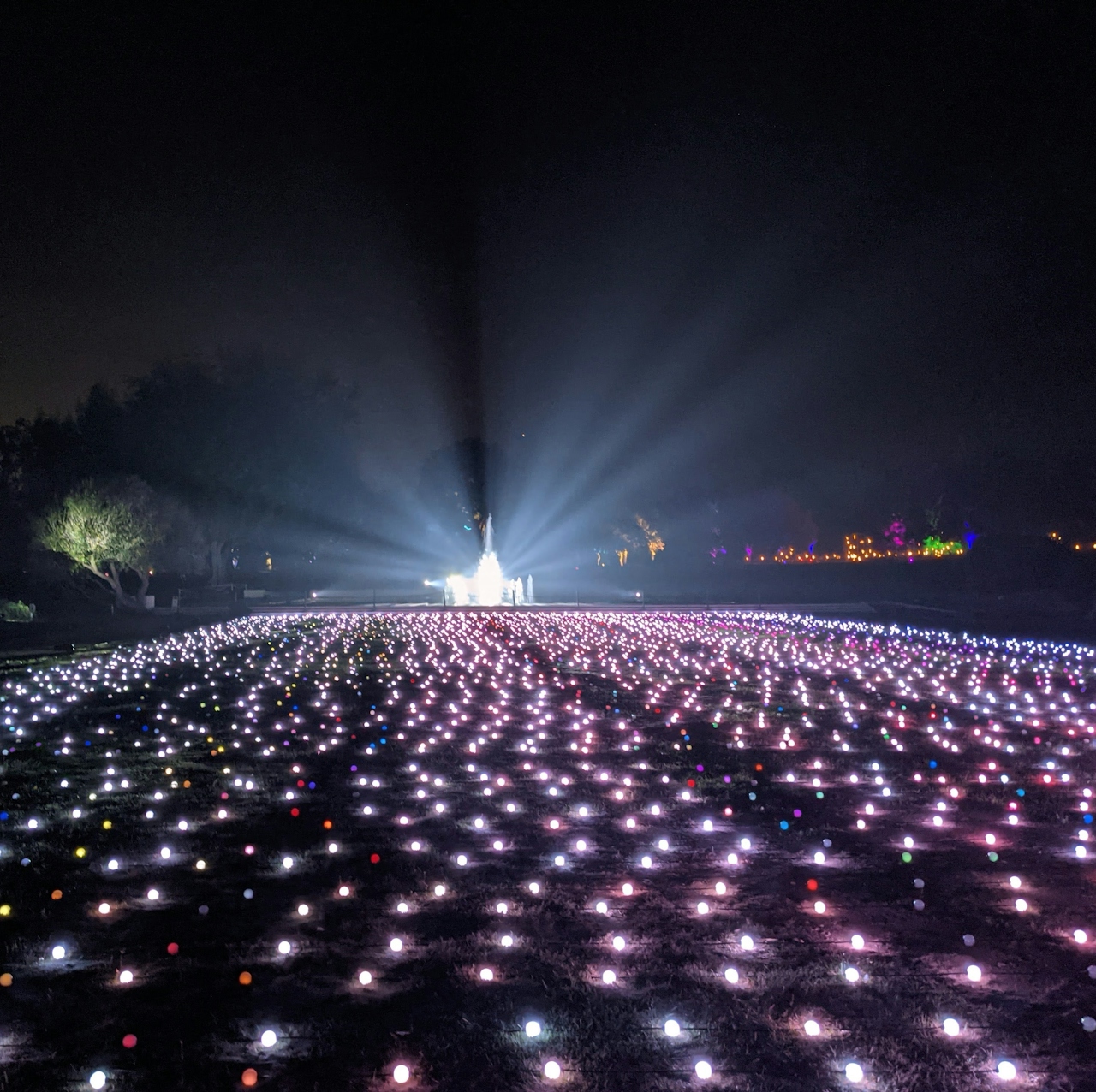 Llghtscape at Los Angeles Arboretum in Los Angeles County 