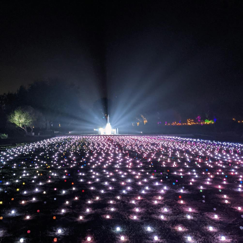 Llghtscape at Los Angeles Arboretum in Los Angeles County 