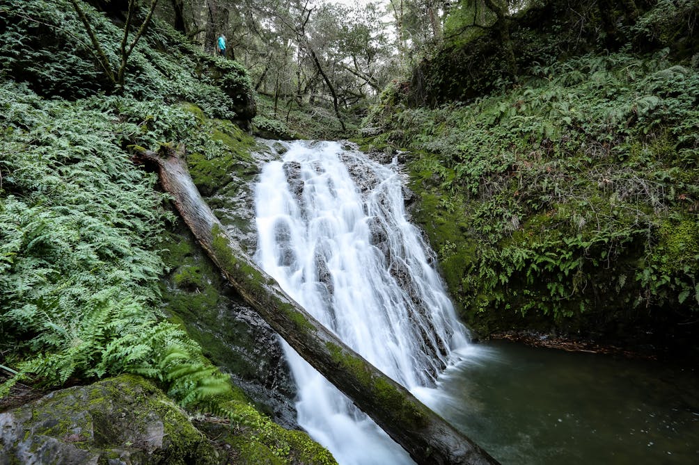 Cataract Falls on Mount Tamalpais