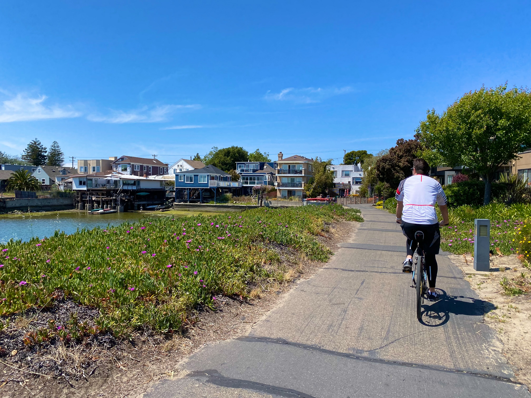 Tiki bay outlet bike