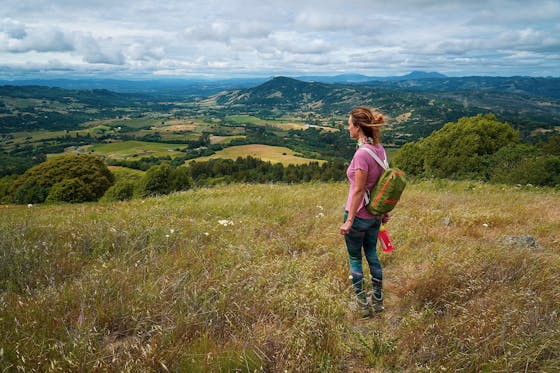 A hiker looking over wildflower fields