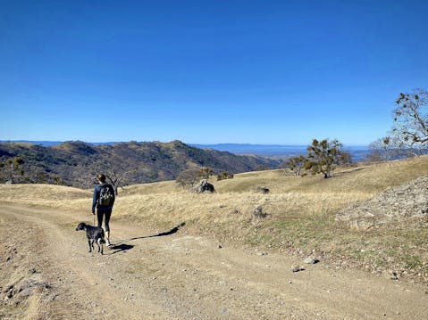 Woman hiking in the Ohlone Wilderness in the East Bay