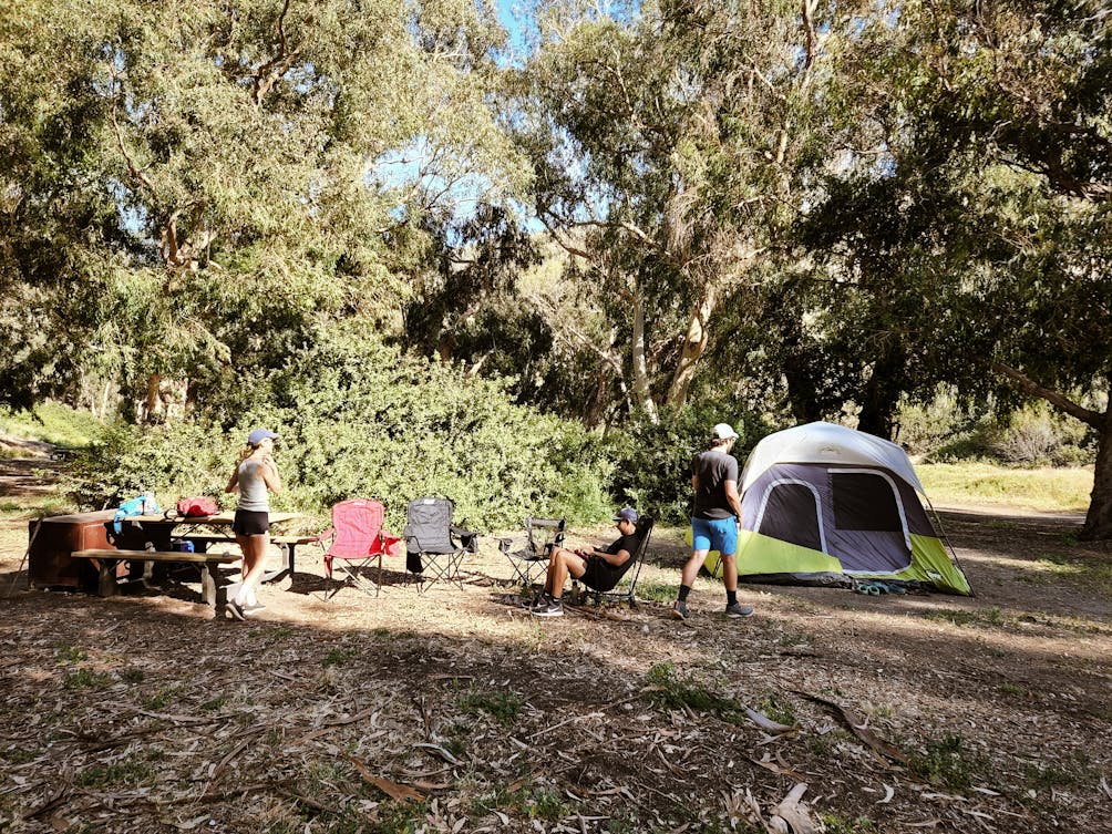 Campers setting up and wandering among tents for camping at Santa Cruze Island 