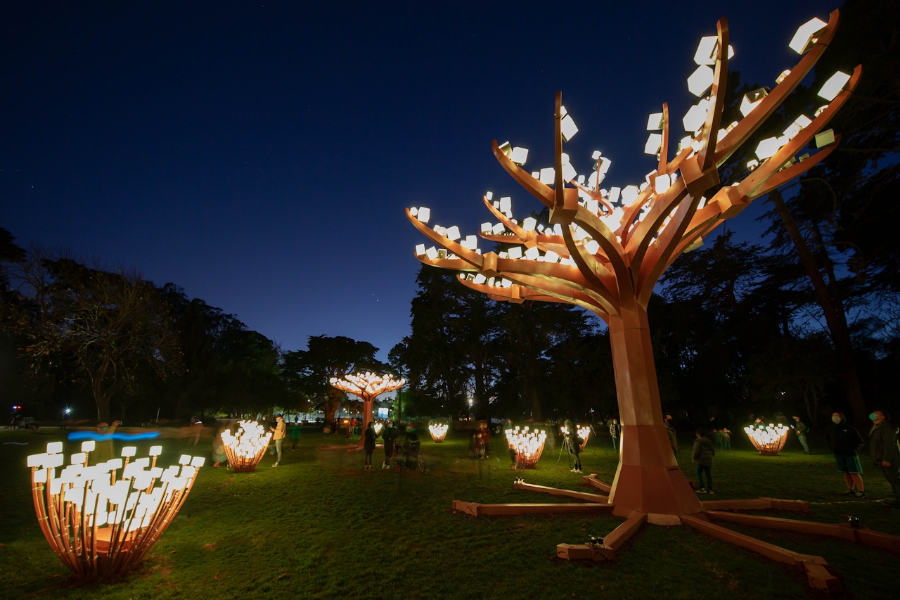 Entwined lights photo by Jason Chinn