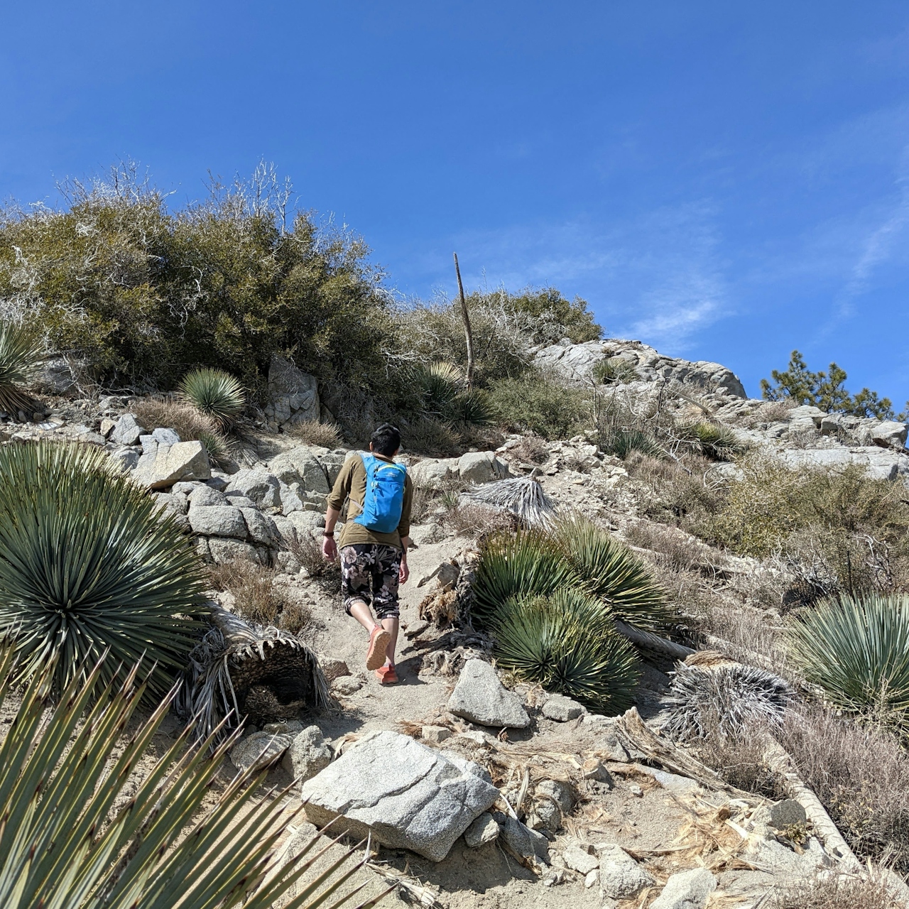 Hiker going up the trail to reach Strawberry Peak in the San Gabriel Mountains Southern California