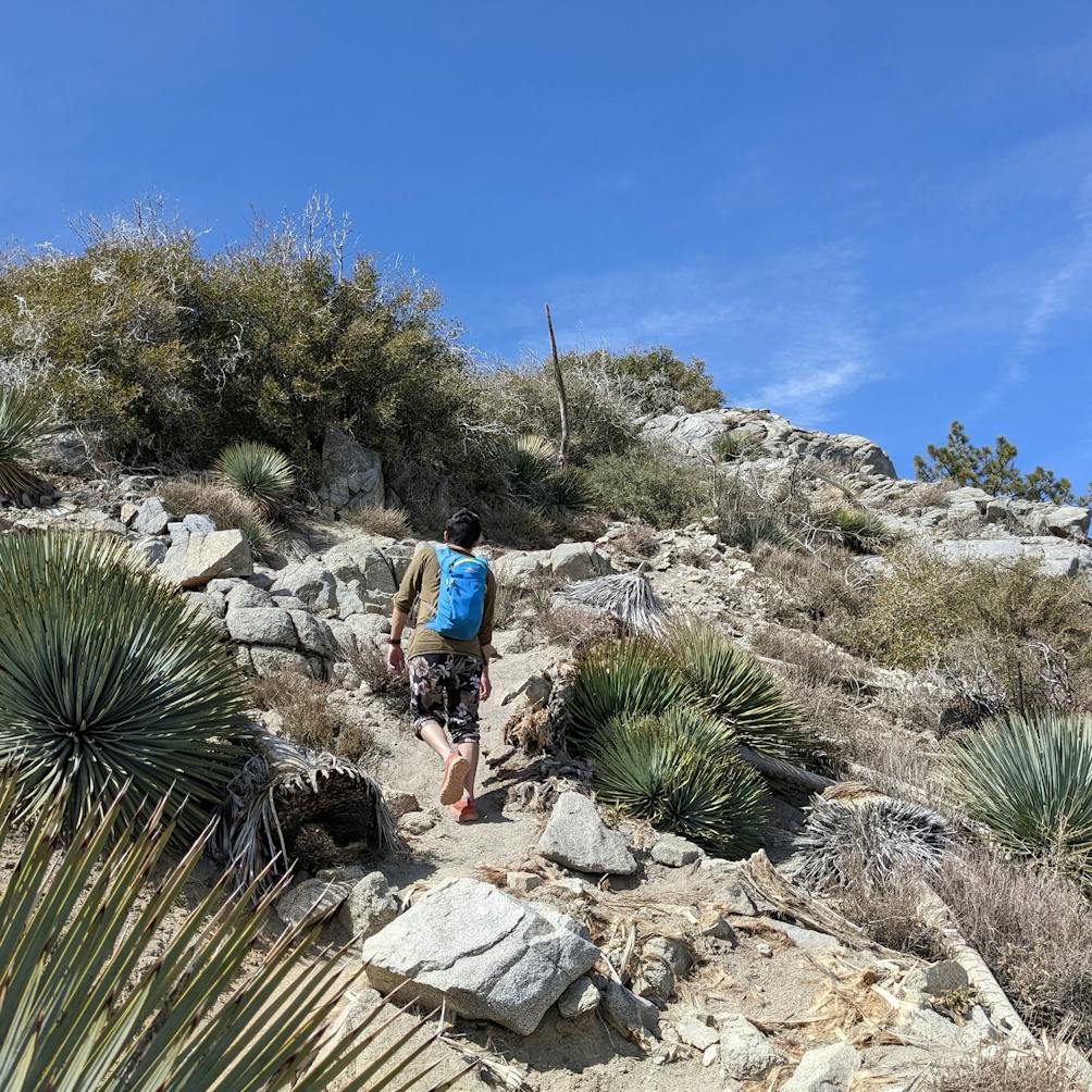 Hiker going up the trail to reach Strawberry Peak in the San Gabriel Mountains Southern California