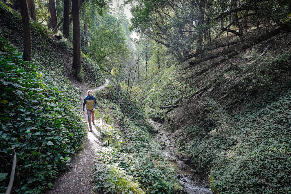 Berkeley hidden waterfall