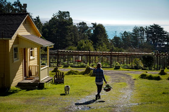 Mar Vista Farm and Cottages on the Mendocino Coast 