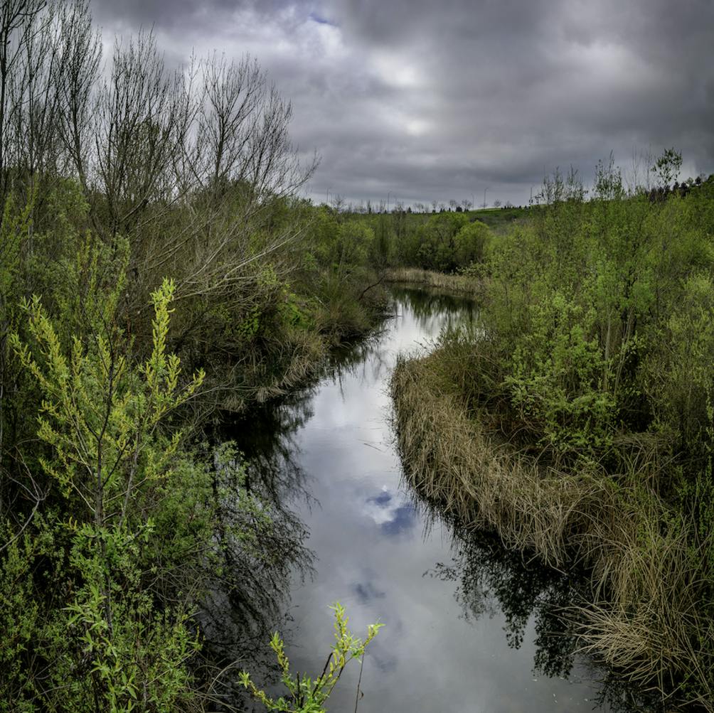 San Ramon creek