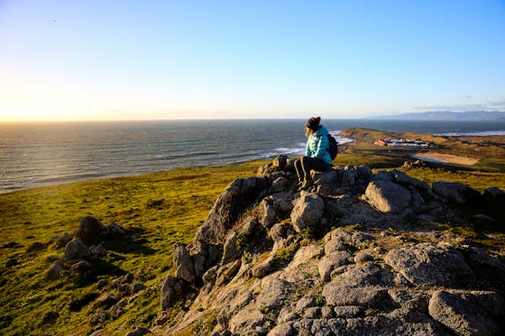 whale watching hiking at Bodega Head
