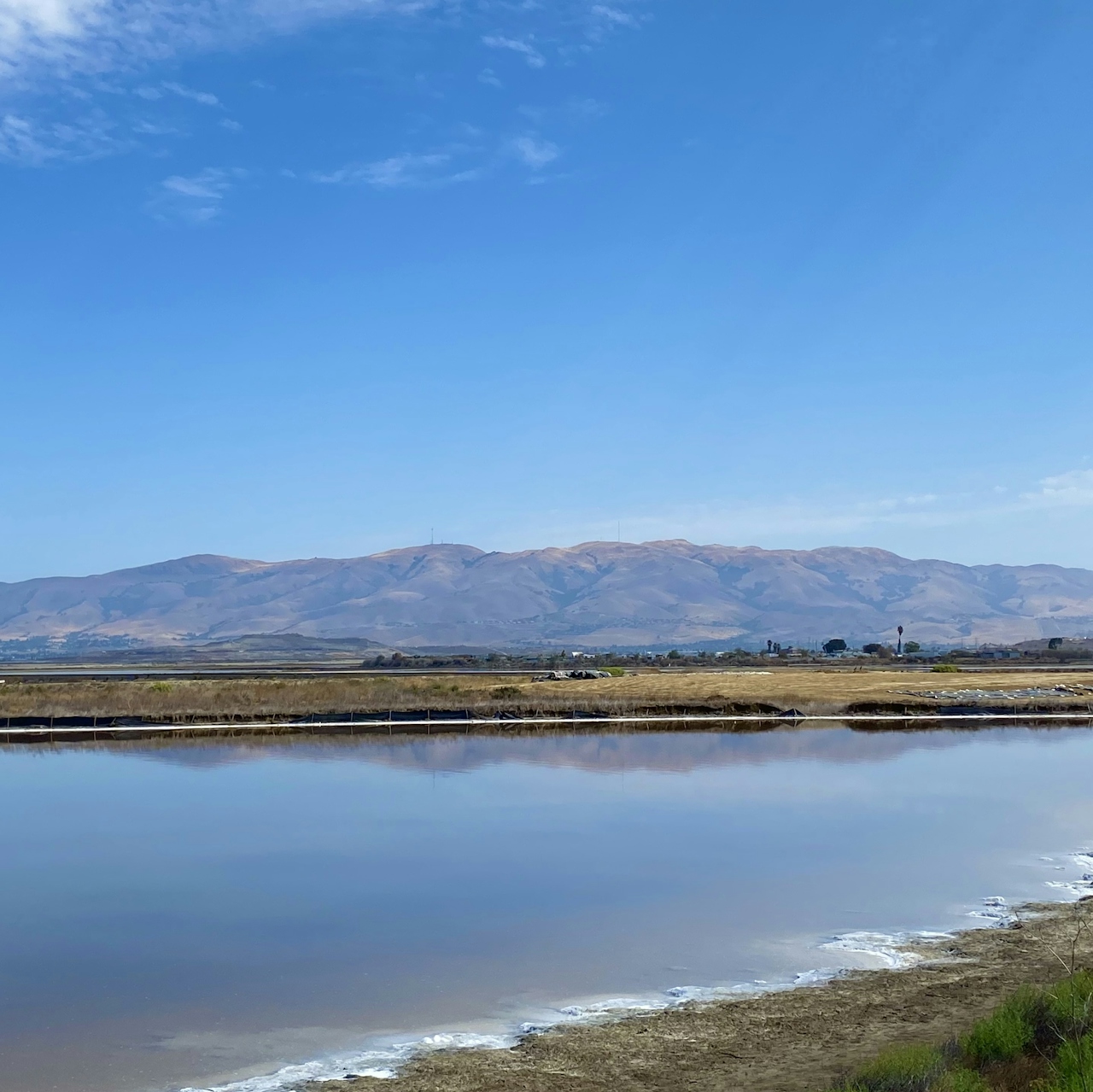 Water scenery along the Guadalupe River Trail in San Jose with mountain ranges in the background 