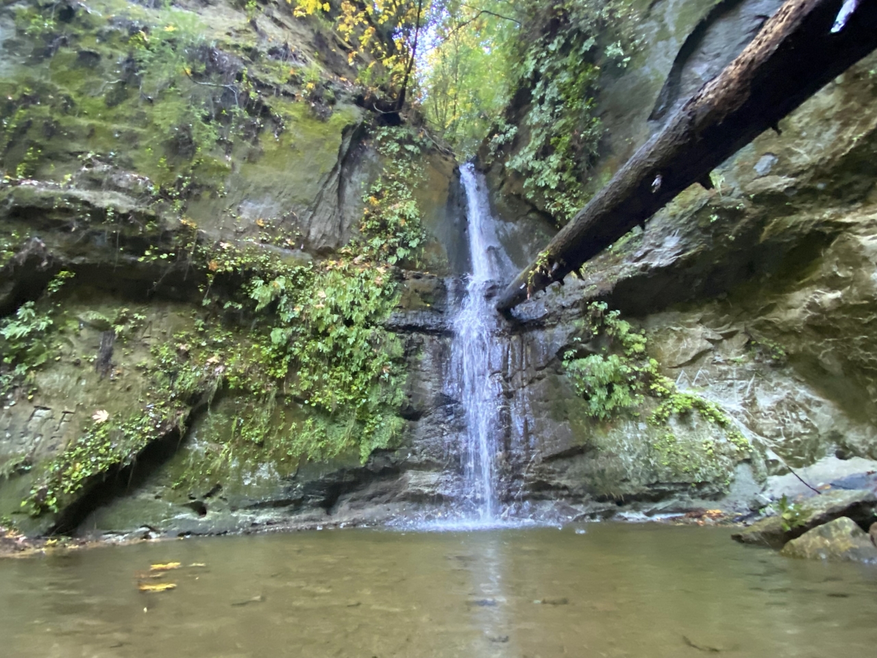 Maple Falls in The Forest of Nisene Marks State Park