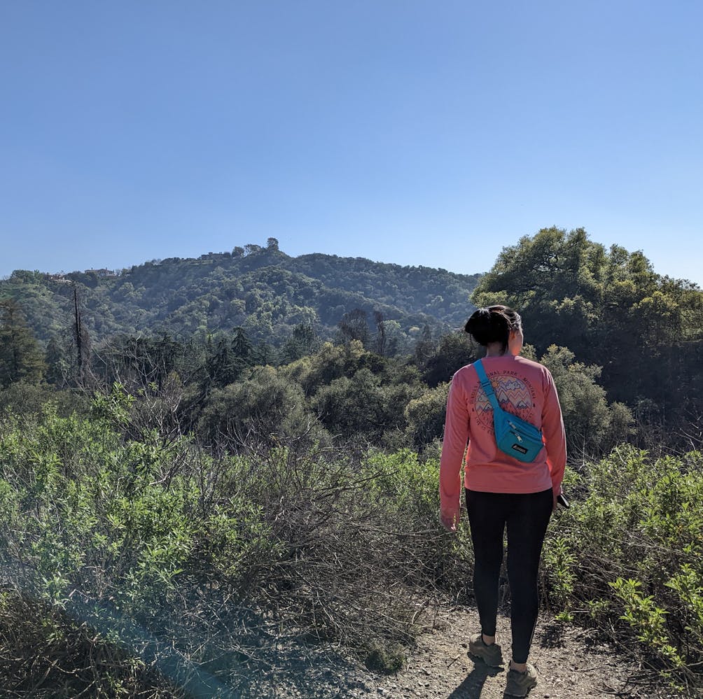 Hiker at overlook in Franklin Canyon Park Los Angeles 