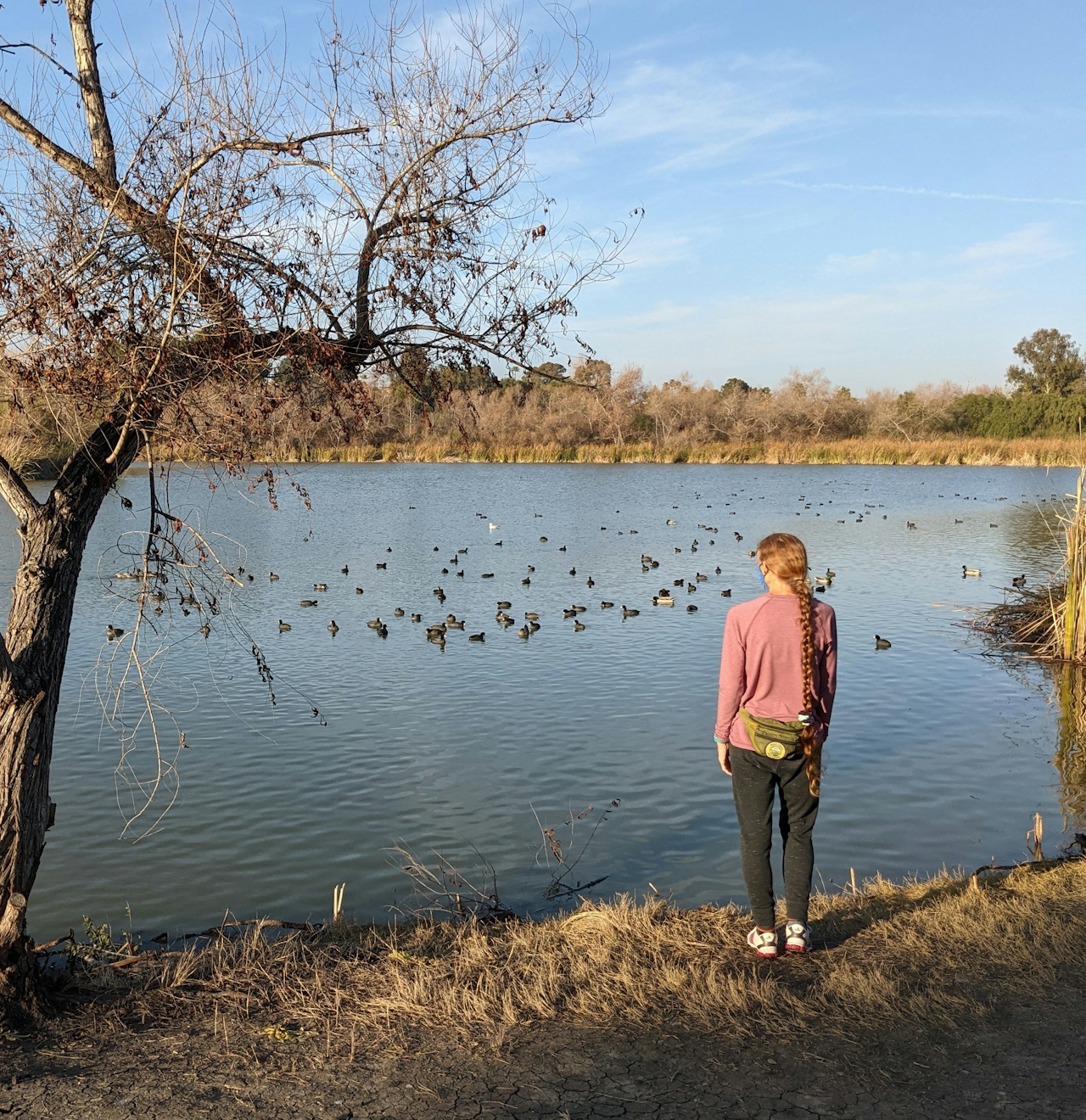 Woman at the shoreline of the lake in Guajome County Park San Diego 