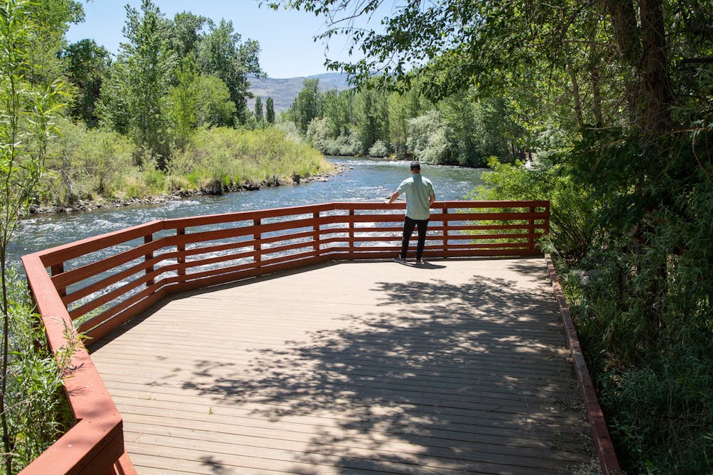 Man looking at Truckee River in Reno Oxbow Nature Study Area
