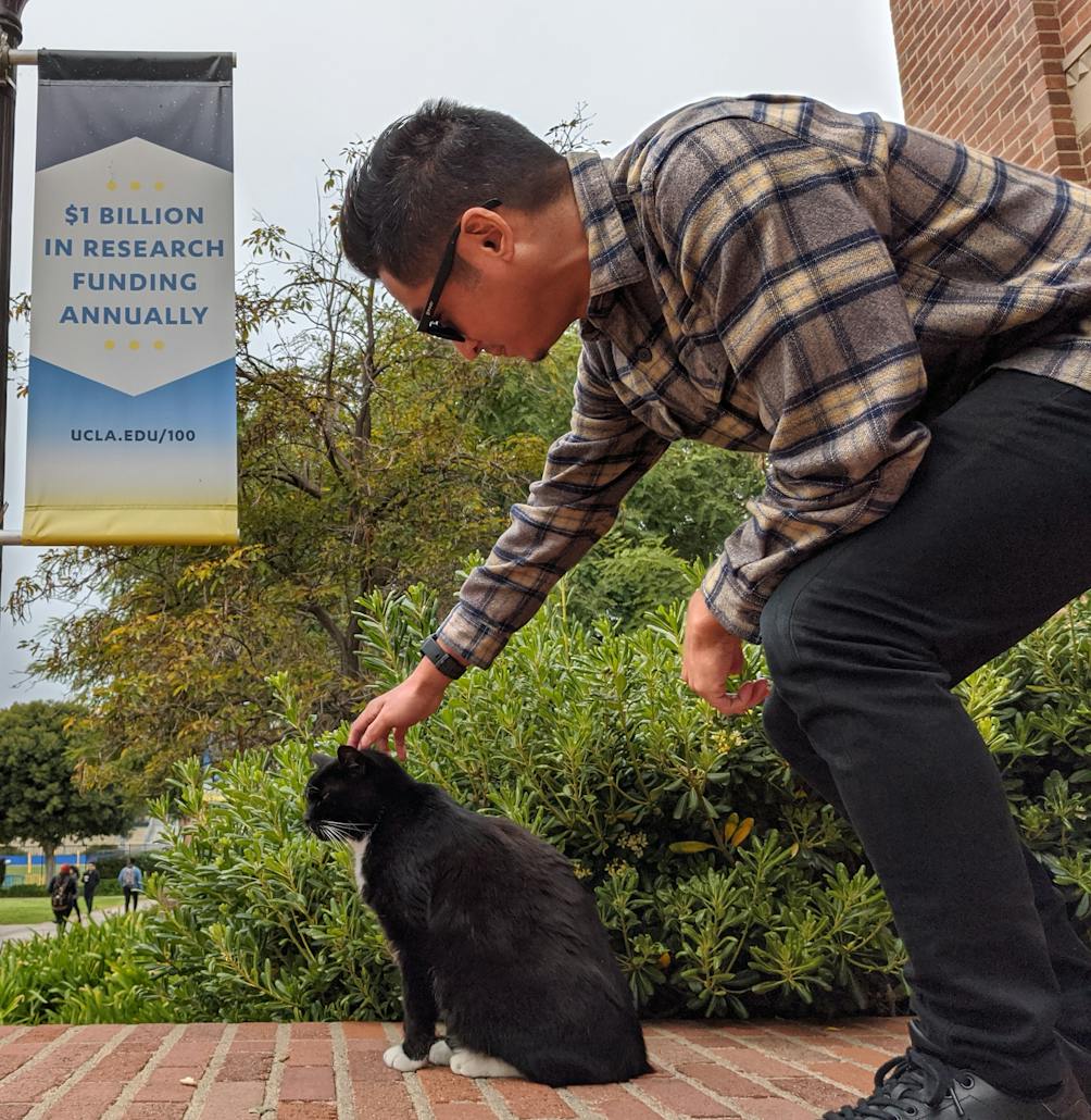 Person petting Powell Cat at UCLA campus