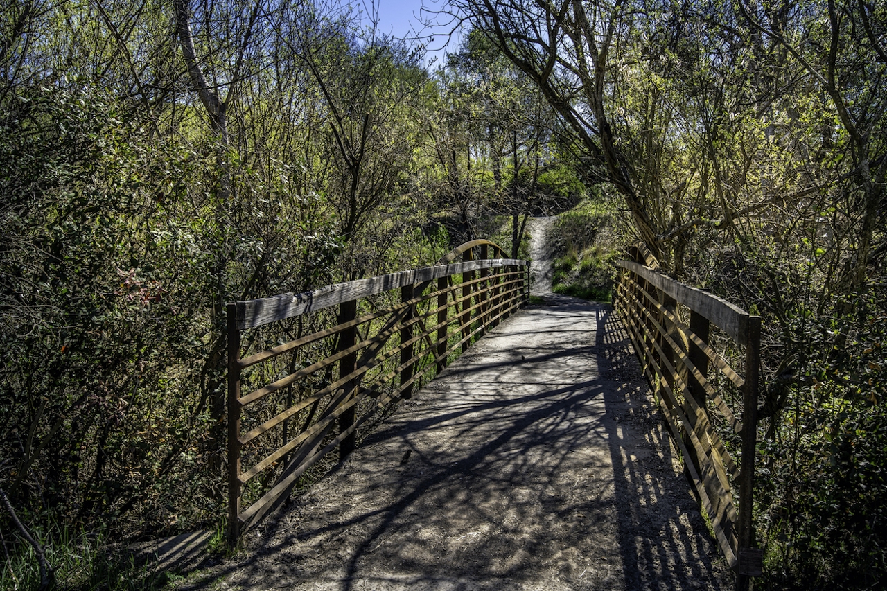 Iron Horse Trail