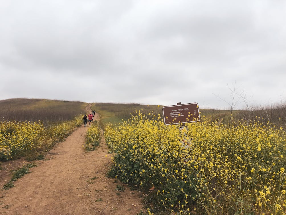 Hikers on Bane Canyon Loop Trail in Chino Hills State Park 