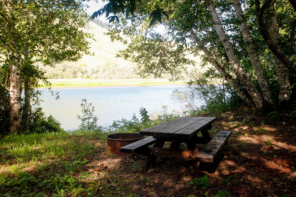 willow camp on Russian River