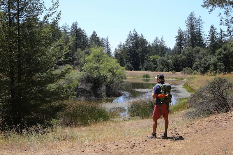 Hoodness Gracious Weekend Sherpa