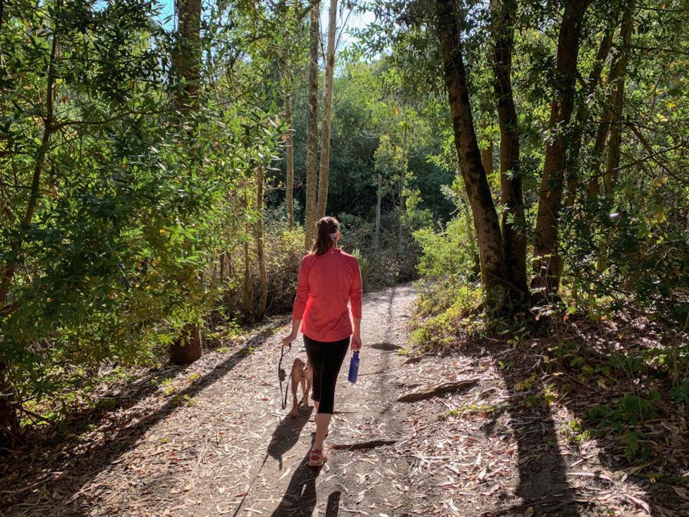 Hike Sibley Volcanic Regional Preserve