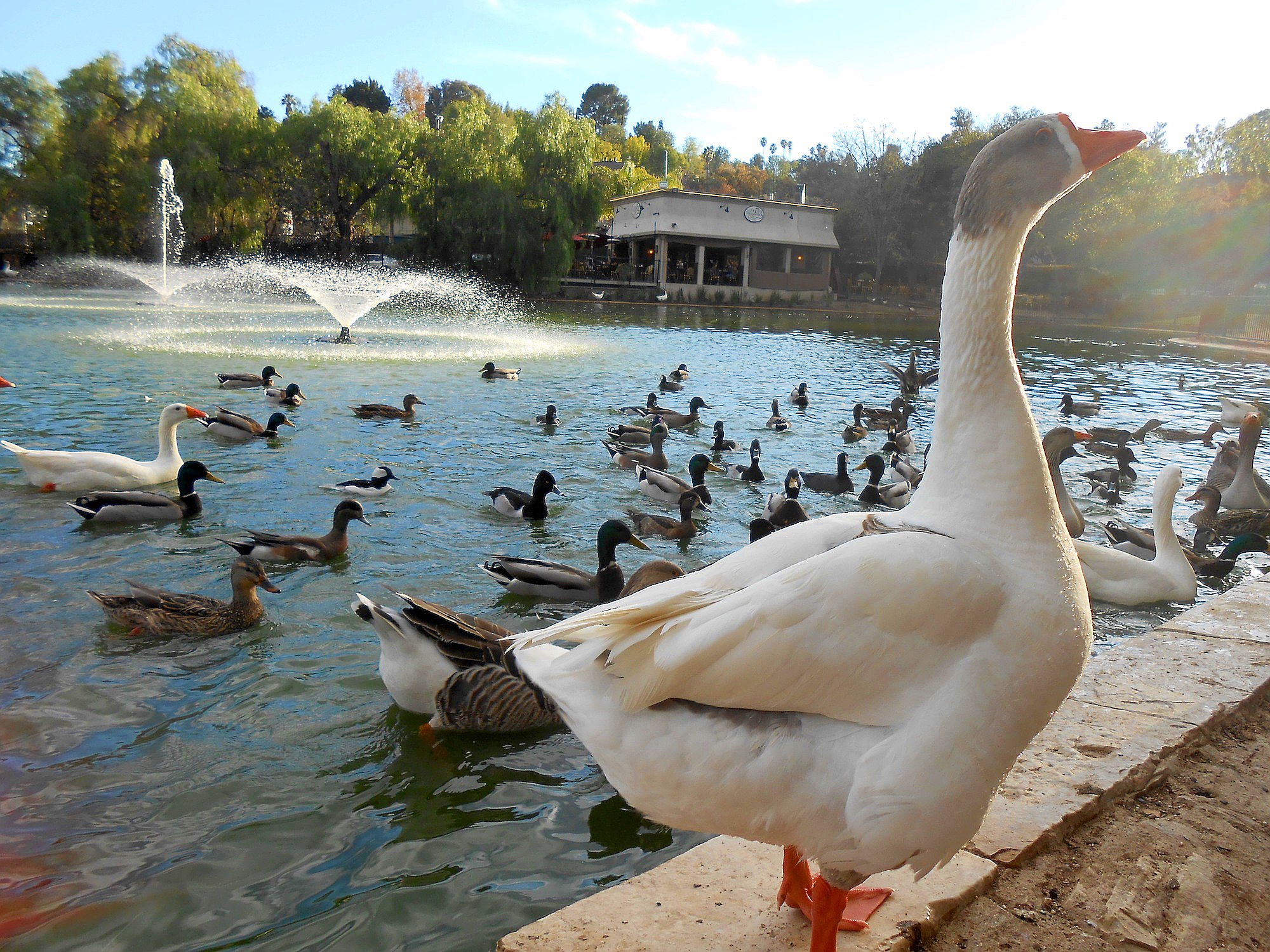 Los Encinos State Historic Park 