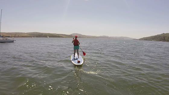 Stand-up paddleboard tomales bay