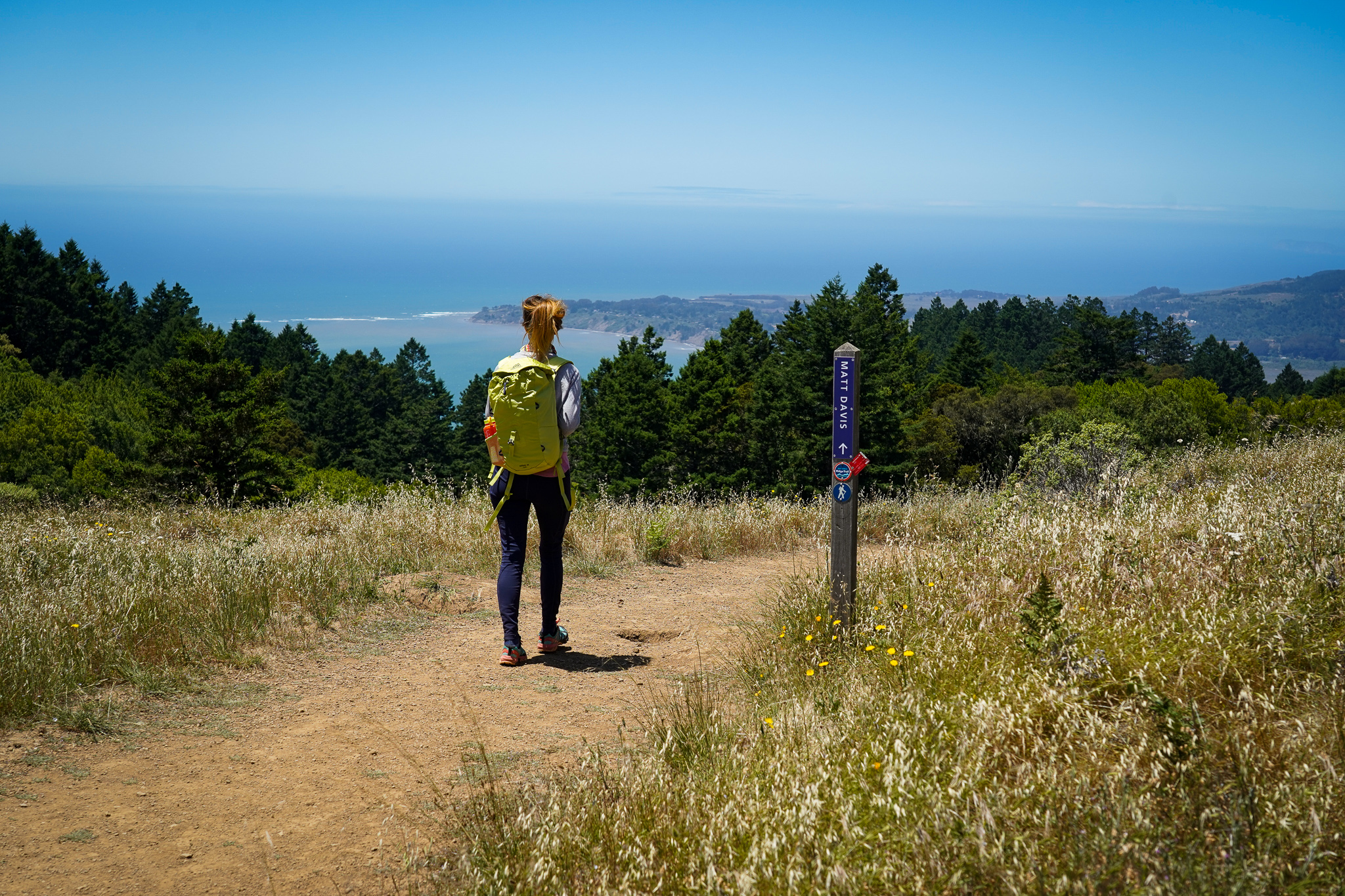 Hike Mount Tamalpais Matt Davis Steep Ravine Dipsea to Stinson Beach