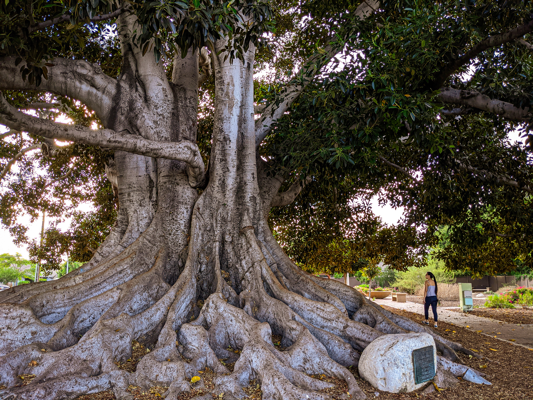 Urban Art and Food Hike in Los Angeles 