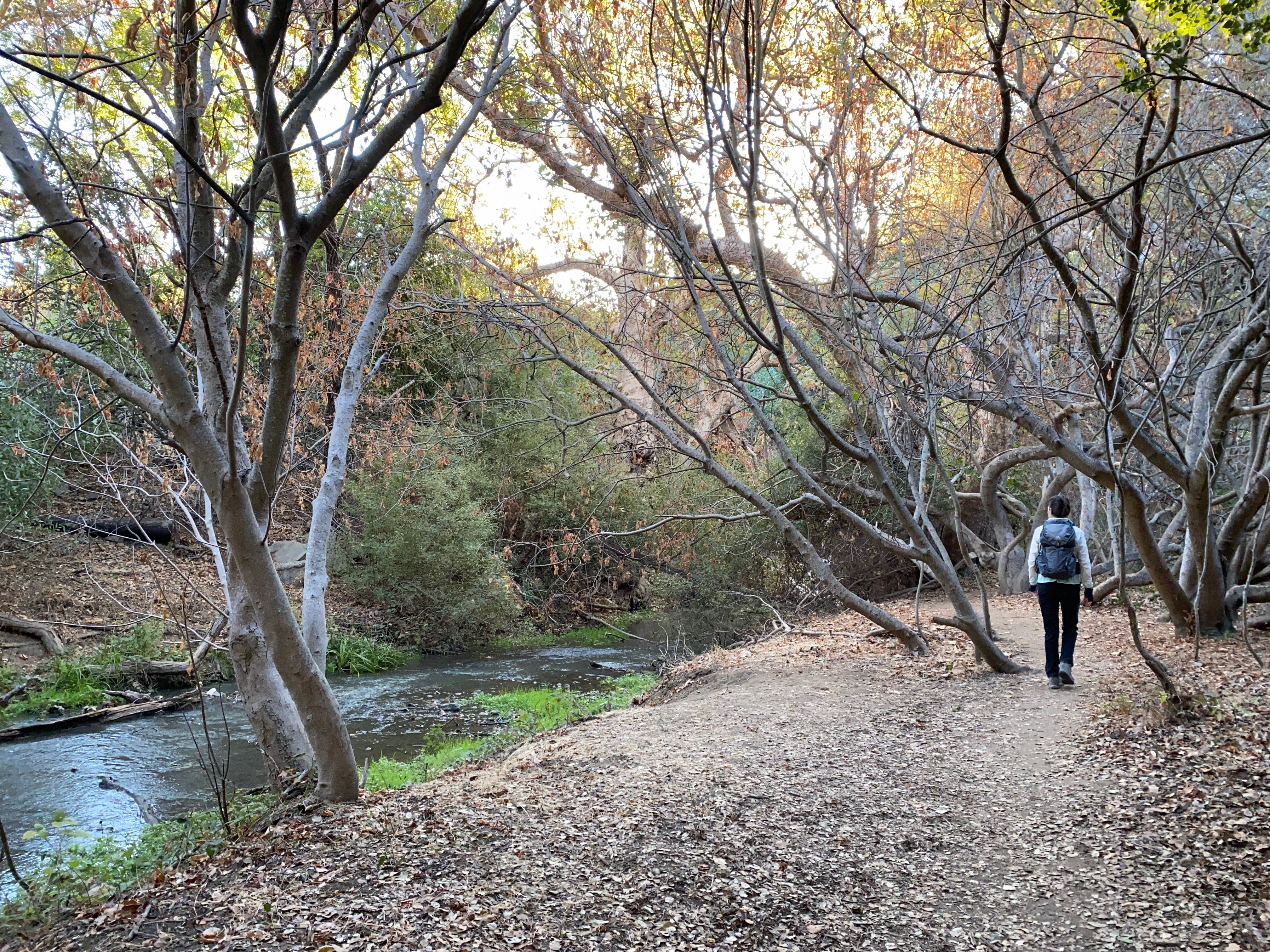 Hike McClellan Ranch Preserve near Cupertino 