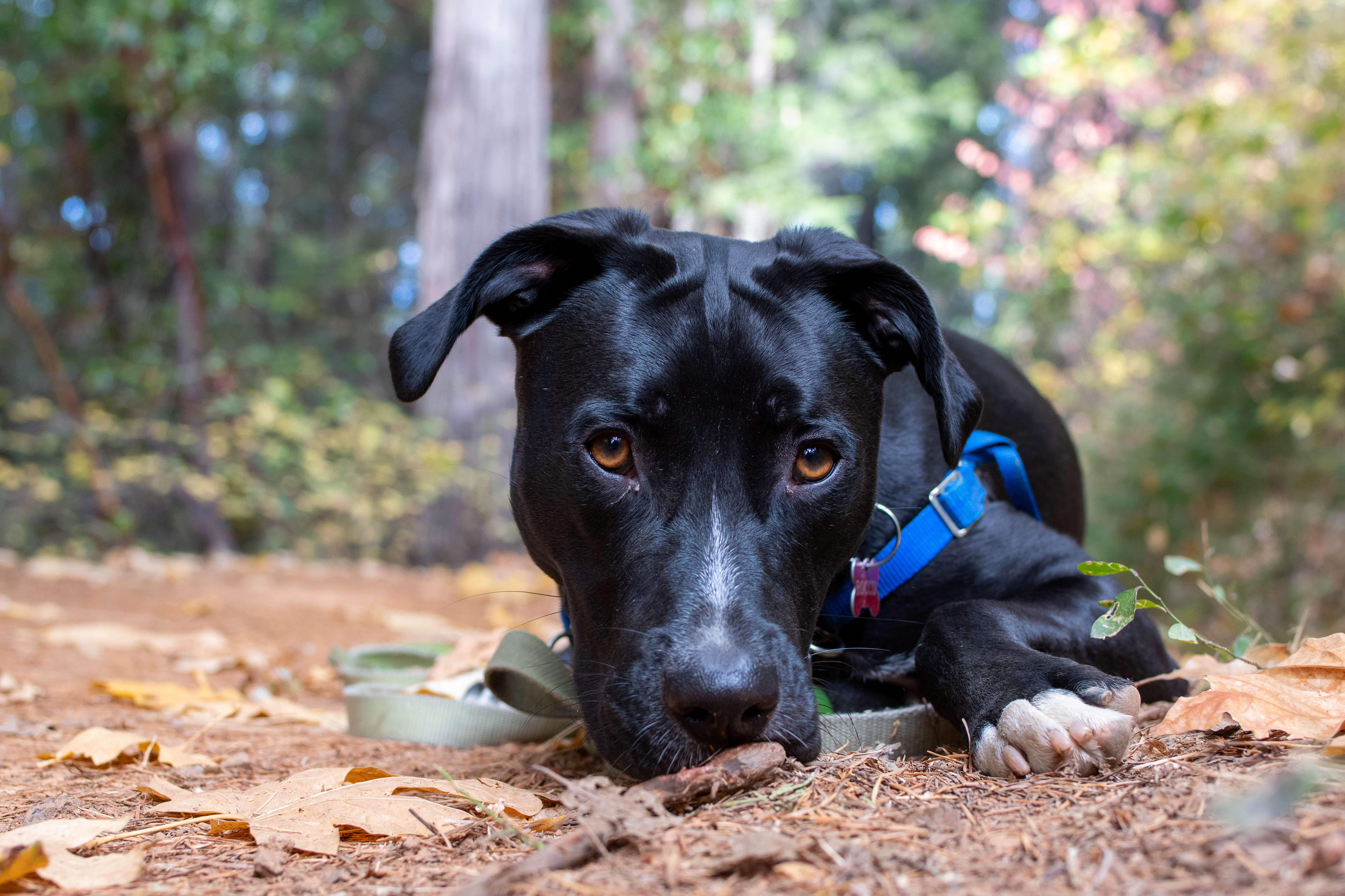 Full Suspension Ahead | Weekend Sherpa